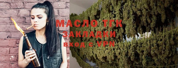 индика Баксан