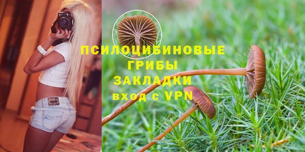 индика Баксан