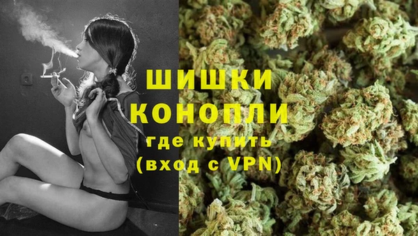 индика Баксан
