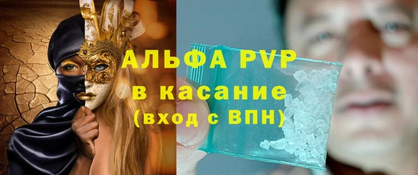 индика Баксан