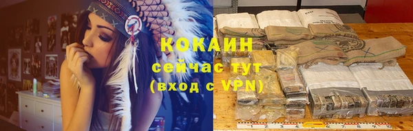 индика Баксан