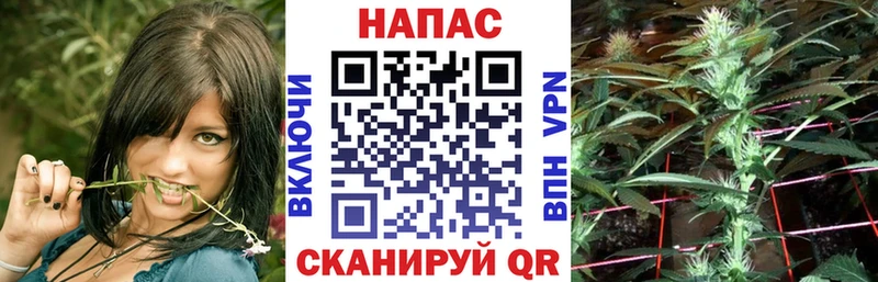 МАРИХУАНА конопля  сколько стоит  darknet Telegram  Сафоново 